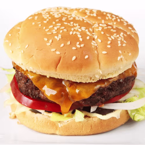 Hamburger