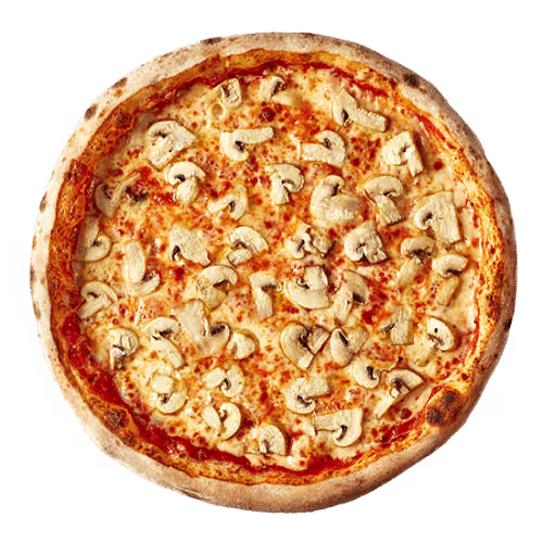 Pizza Funghi