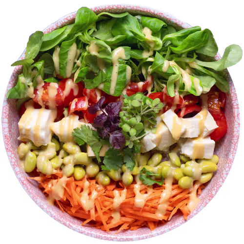 Kenny's Vegan Poke Bowl