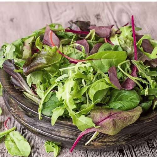 Grüner Salat