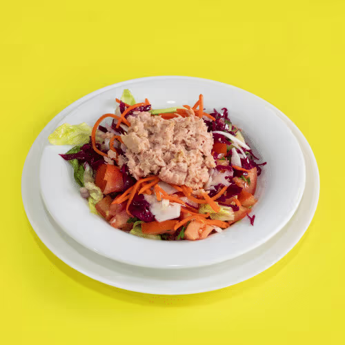 Thunfischsalat (500ml)