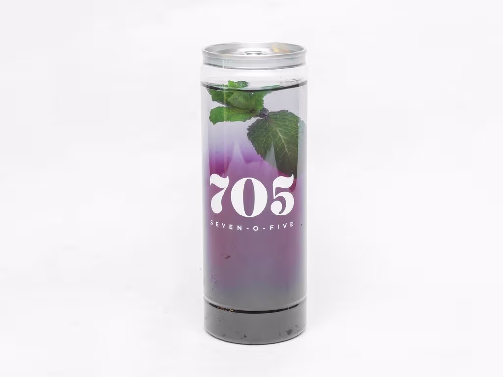 Blaubeer-Minze Limonade 0,6l