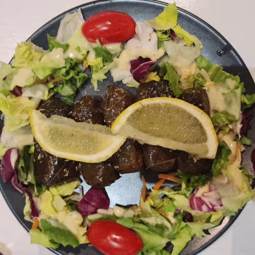 Dolmadakia (vegan)