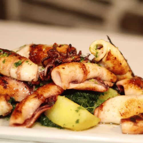 Gegrillte Calamari