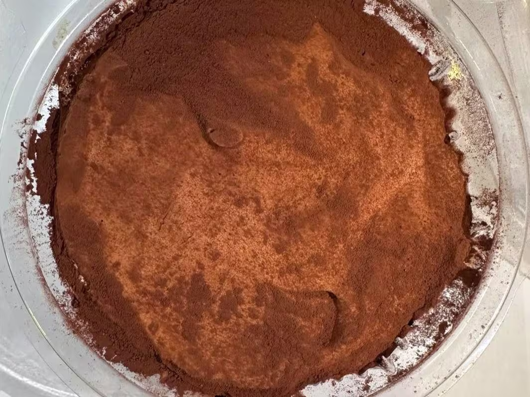 Tiramisu Hausgemacht