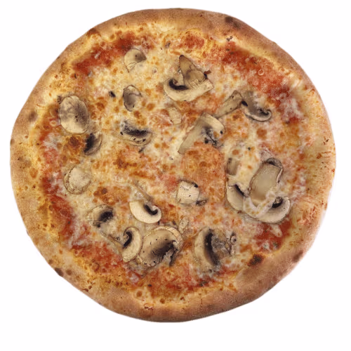 Pizza Funghi