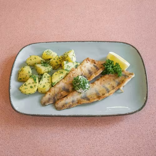 Gegrillte Zanderfilets