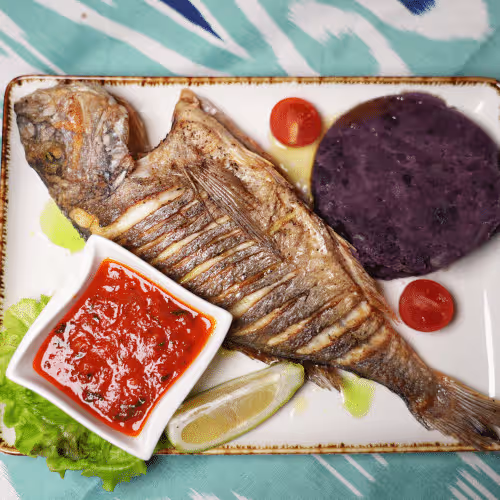 Dorada Fisch