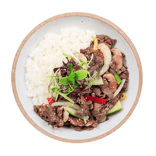 Bulgogi Deopbap