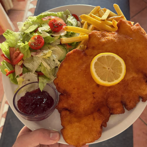 Putenschnitzel mit Pommes frites und Salat
