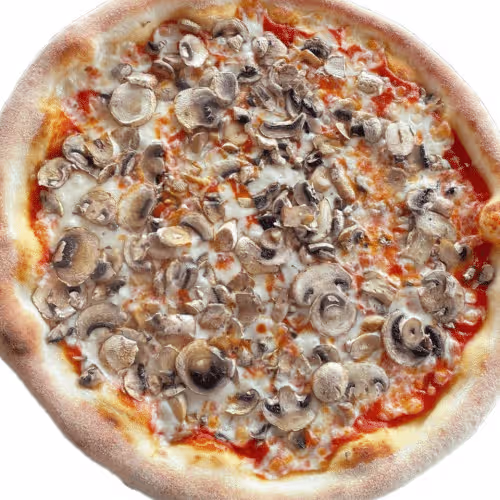 Funghi