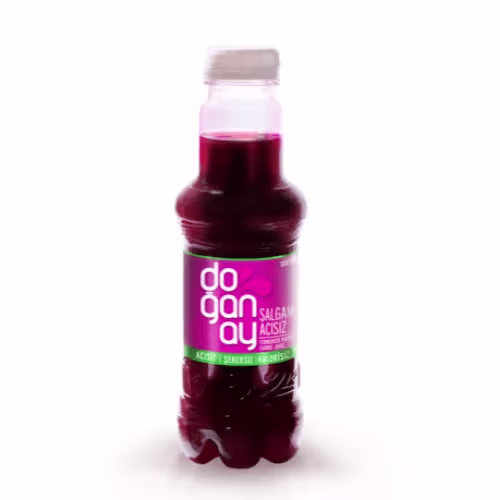 Salgam Mild 0,33l
