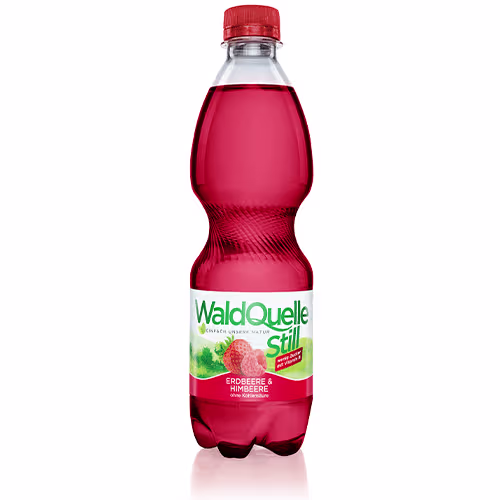 Waldquelle mit Frucht Erdbeer & Himbeer 0,5l