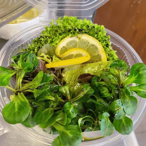 Grüner Salat