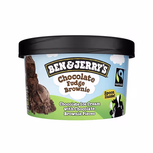 Ben & Jerry's Chocolate Fudge Brownie