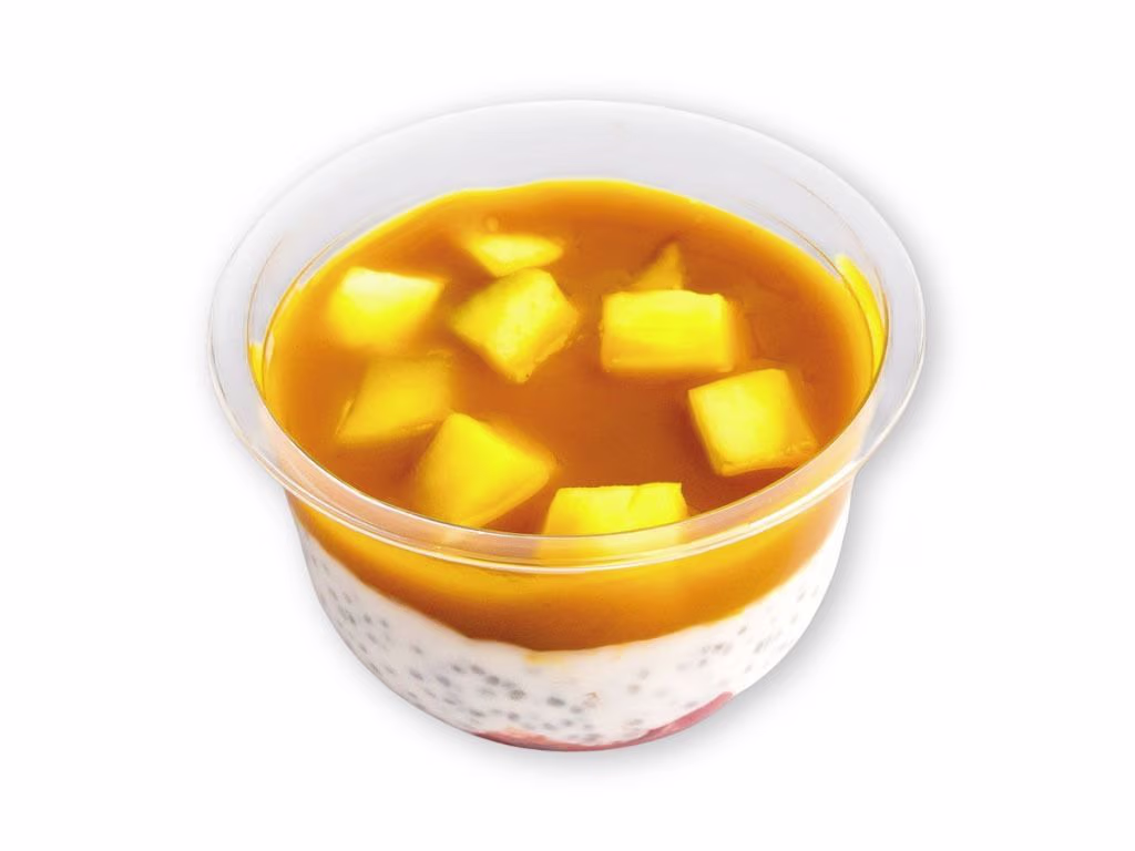 Mango Coconut Chia Pudding (vegan, glutenfrei)