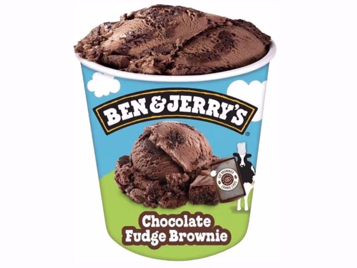 Chocolate Fudge Brownie