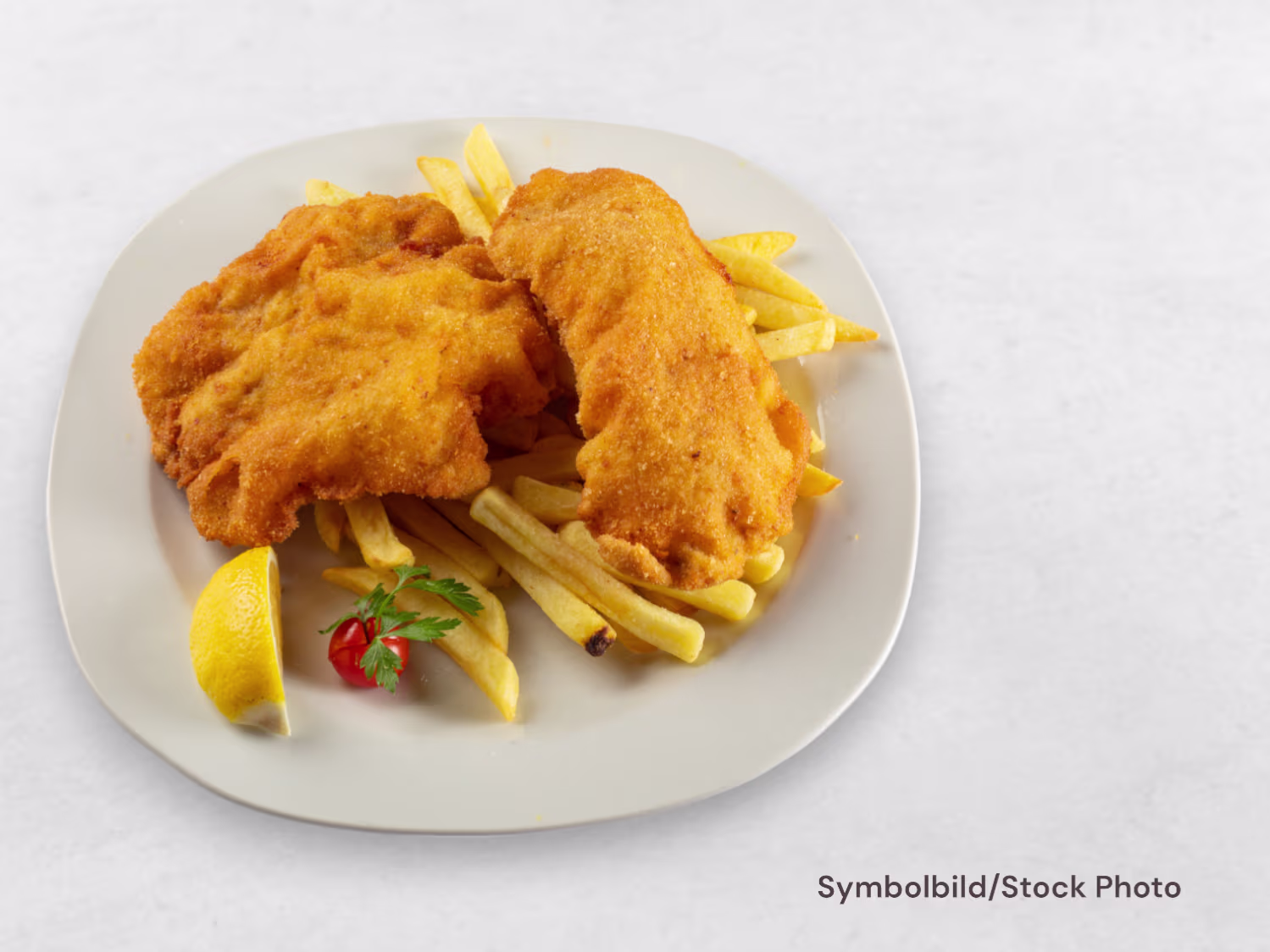 Wienerschnitzel (Pute)