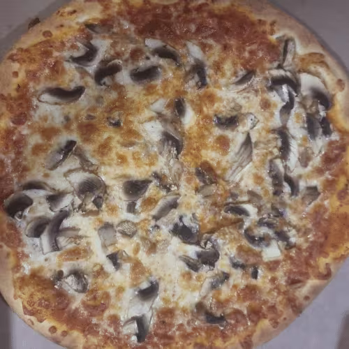 Funghi