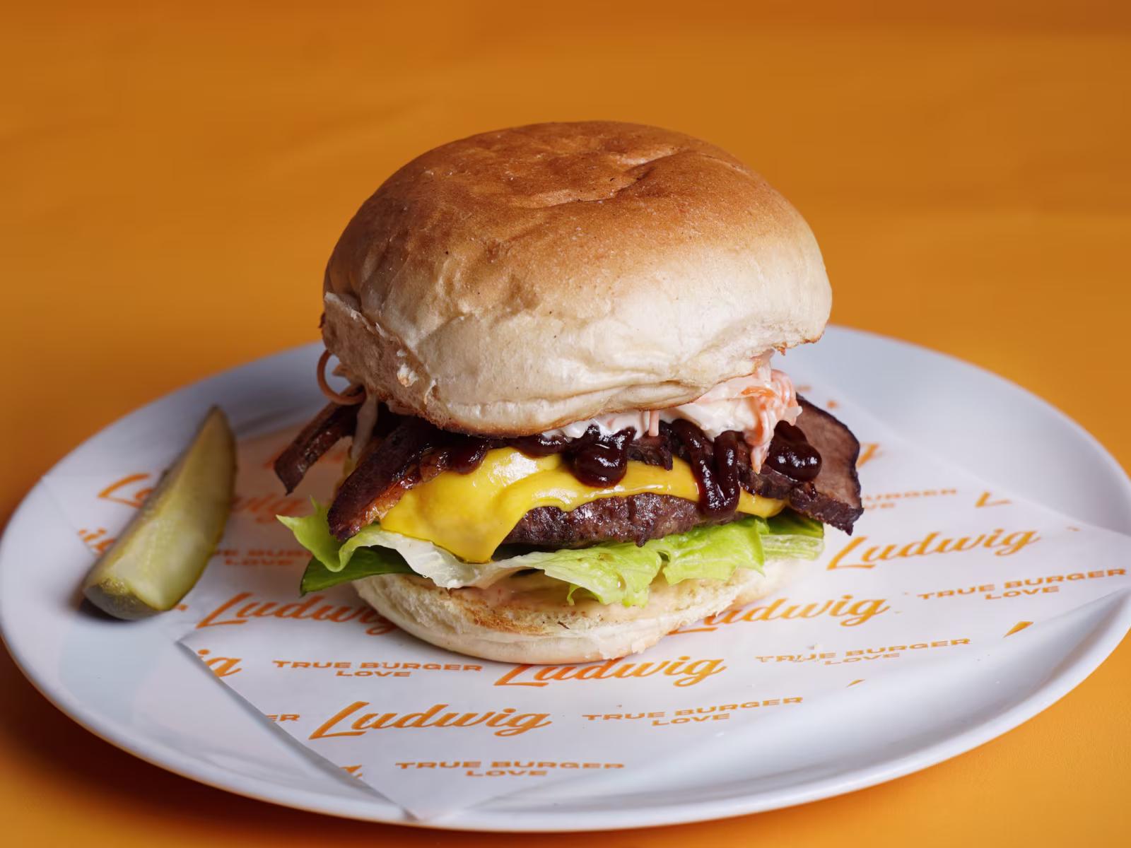 Ludwig Burger