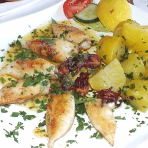 Gefüllte Calamari
