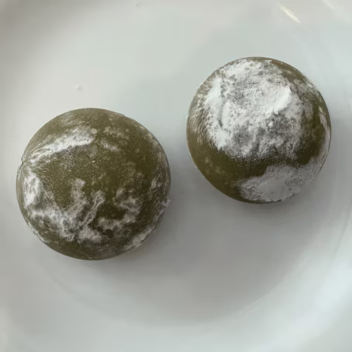 Matcha Mochi
