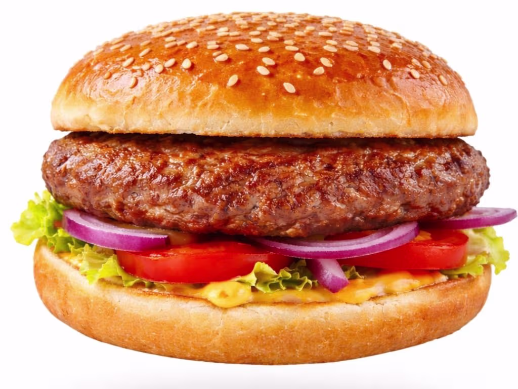 Hamburger