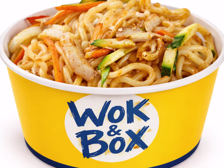 U. Gebr. Udon Nudeln mit Gemüse